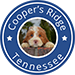 Coopers Ridge - Mini Australian Labradoodle Breeder Tennessee